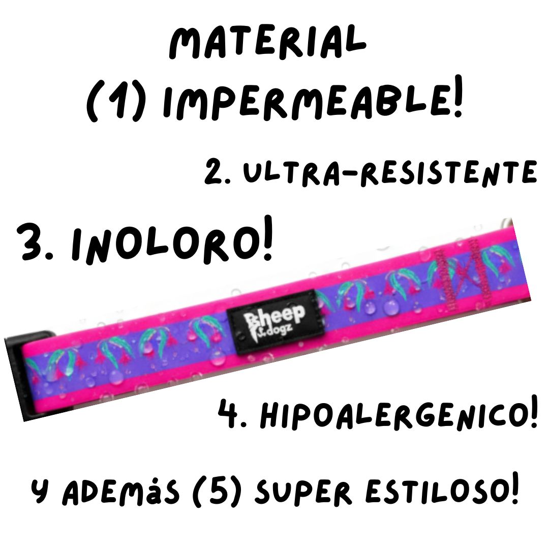 🌷Collar Impermeable Chilco Fucsia🌷