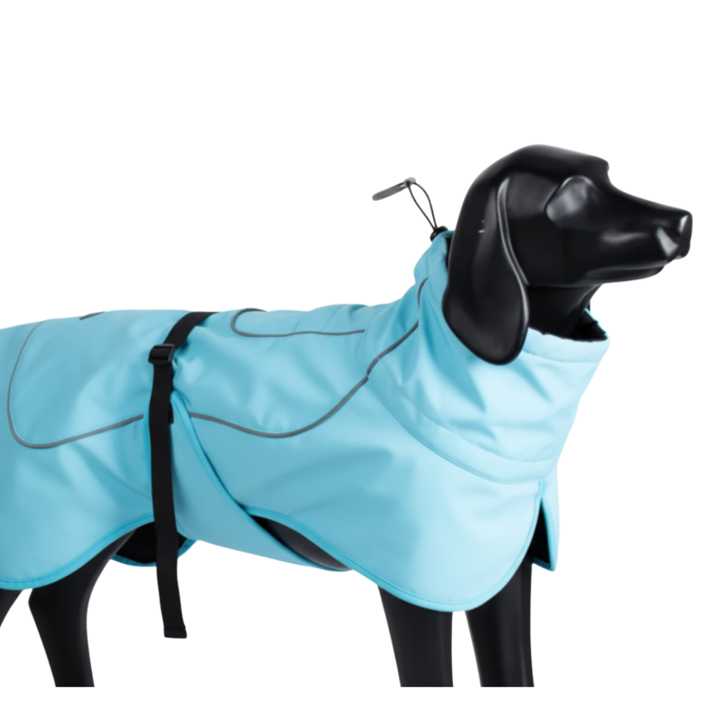Impermeable Perro Windhook - Celeste-  Sheepdogz®