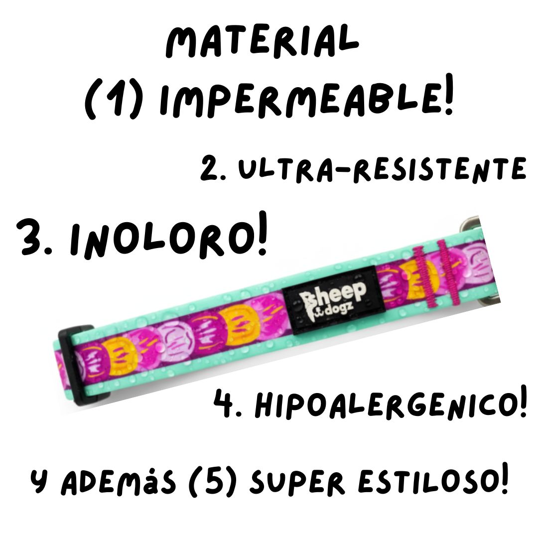 🏵️Collar Impermeable Astroemeria🏵️