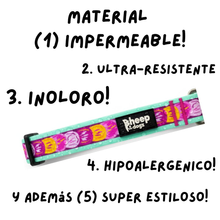 🏵️Collar Impermeable Astroemeria🏵️