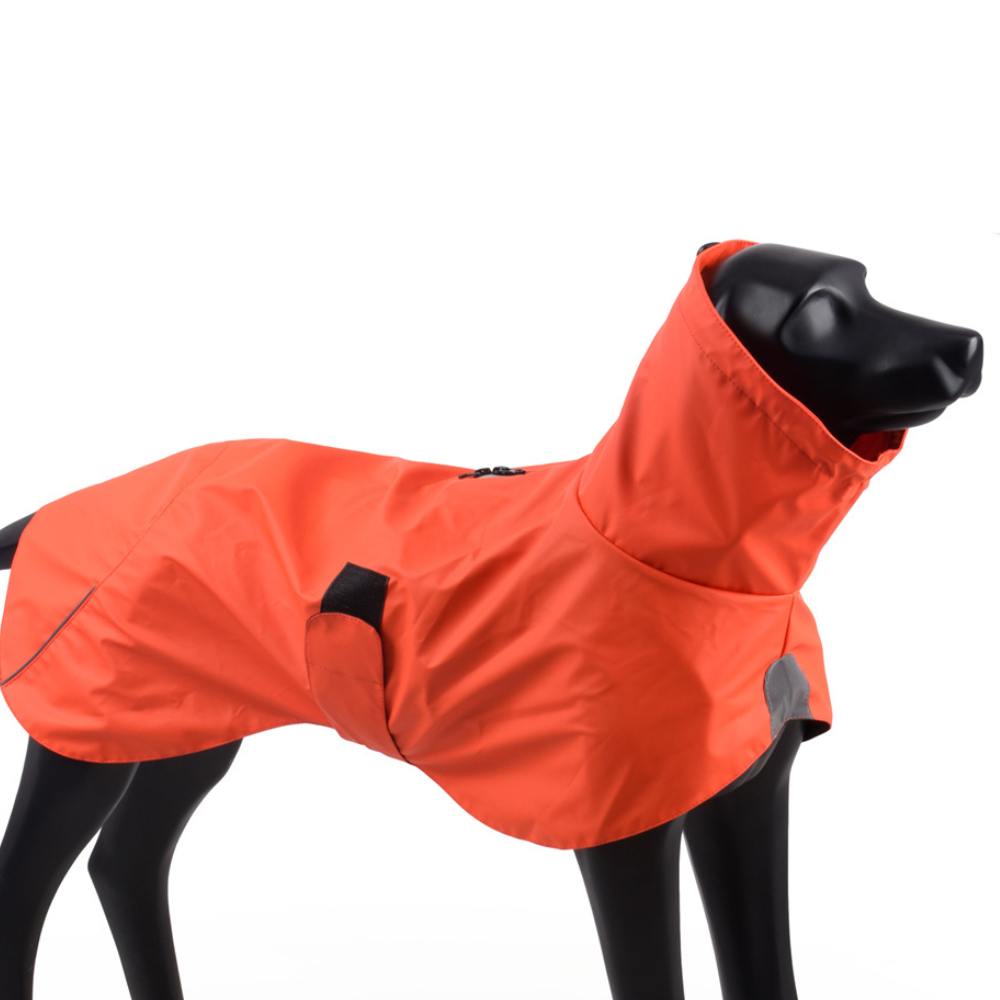 Impermeable Urbano Perro Fitz Roy  Naranja-  Sheepdogz®