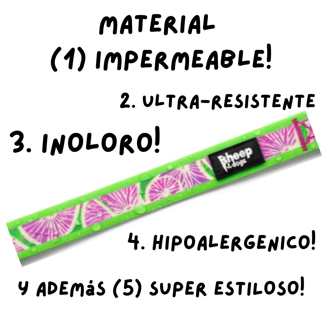 🪻Collar Impermeable Doca🪻