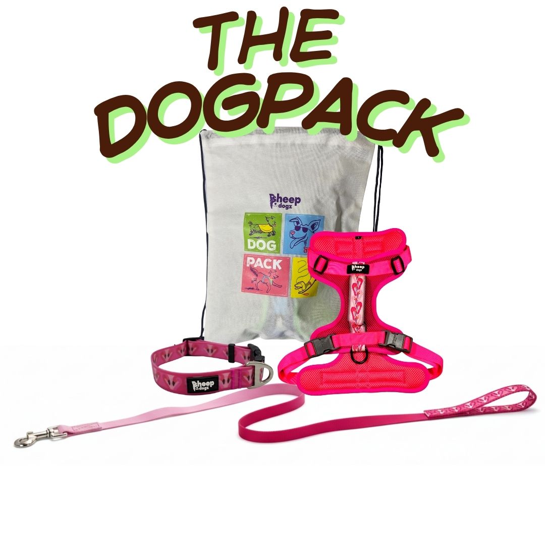 🐾 Dogpack Sheepdogz Flamenco🦩