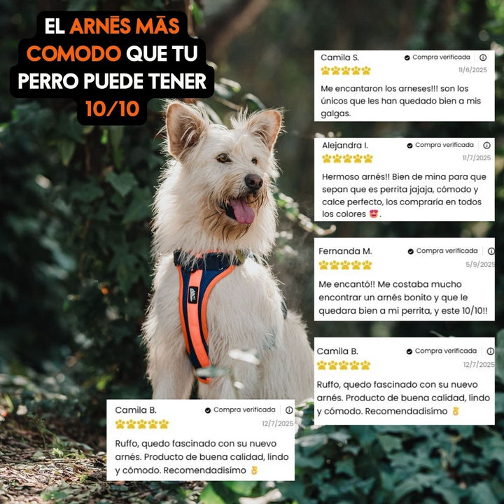 Arnés Puelo - 🦅Martin Pescador🦅