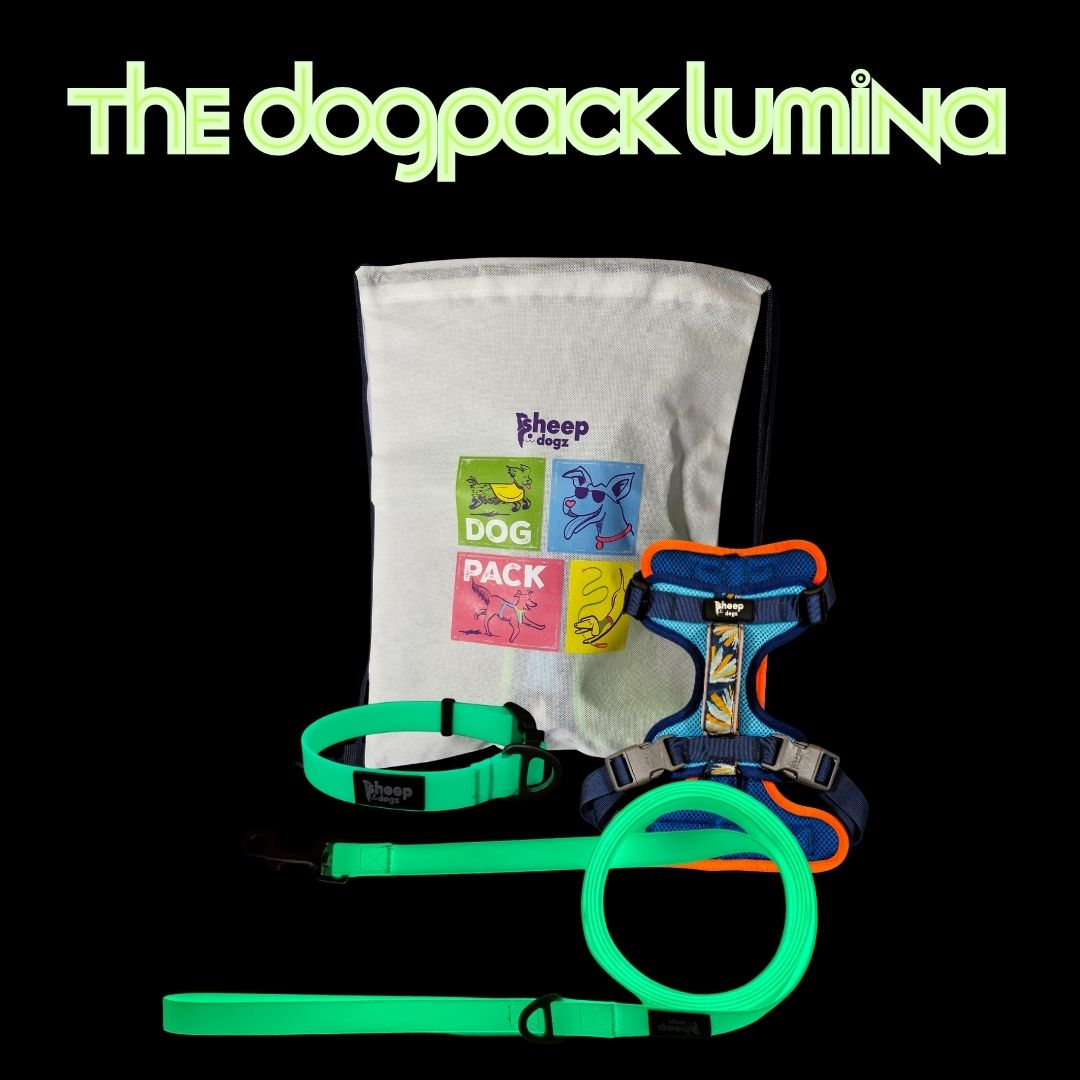 🐾 Dogpack Sheepdogz Martin 🦅 Lumina
