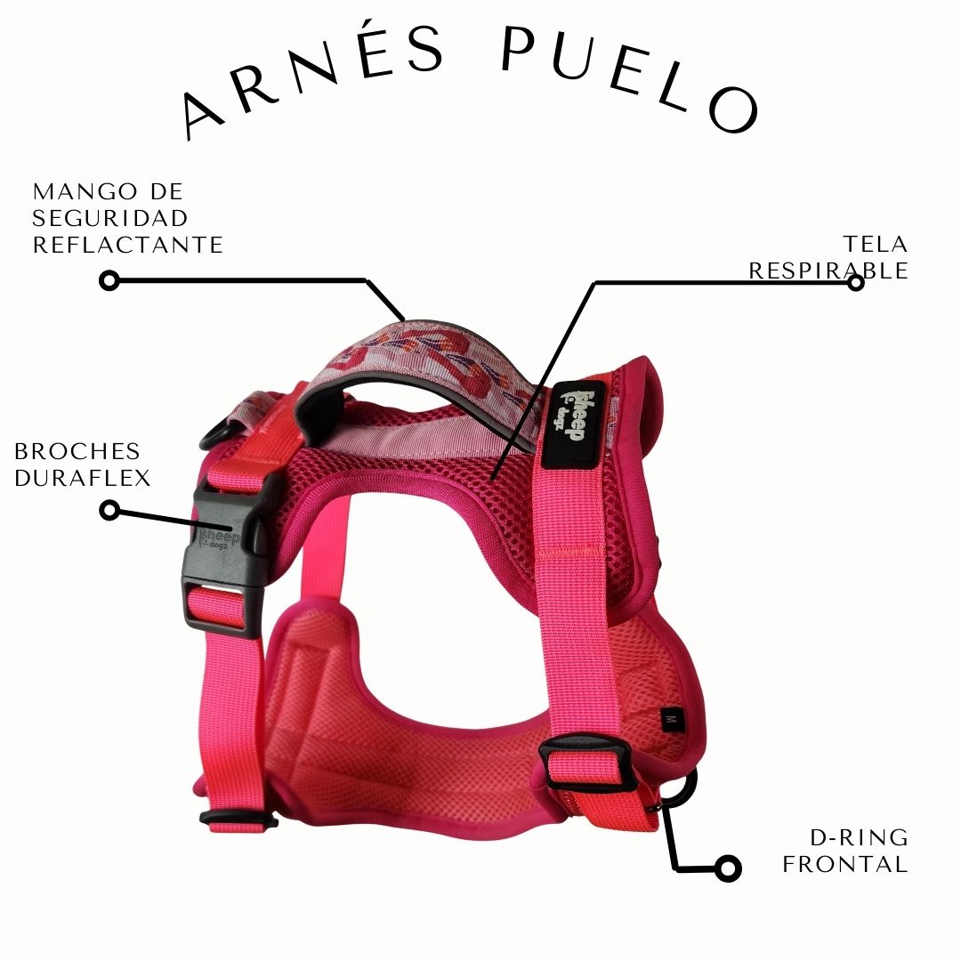 Arnés Puelo🦩Flamenco Chileno🦩