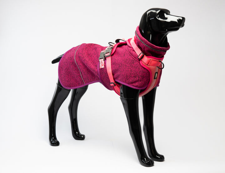 Polar Perro Dawson Flamenco-  Sheepdogz®