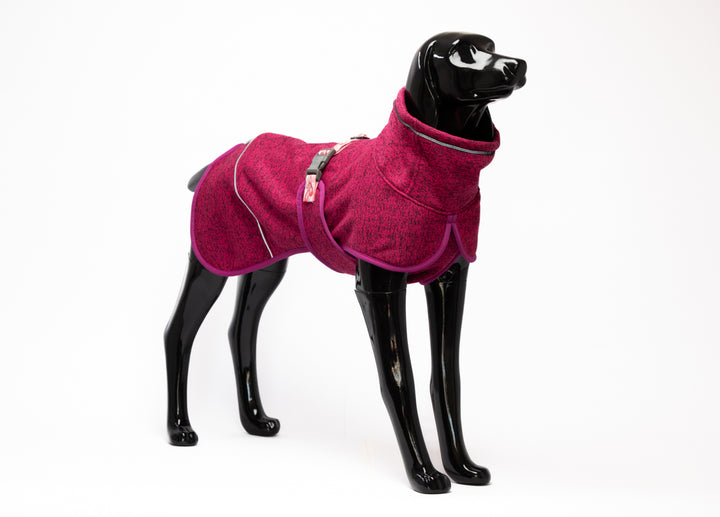 Polar Perro Dawson Flamenco-  Sheepdogz®