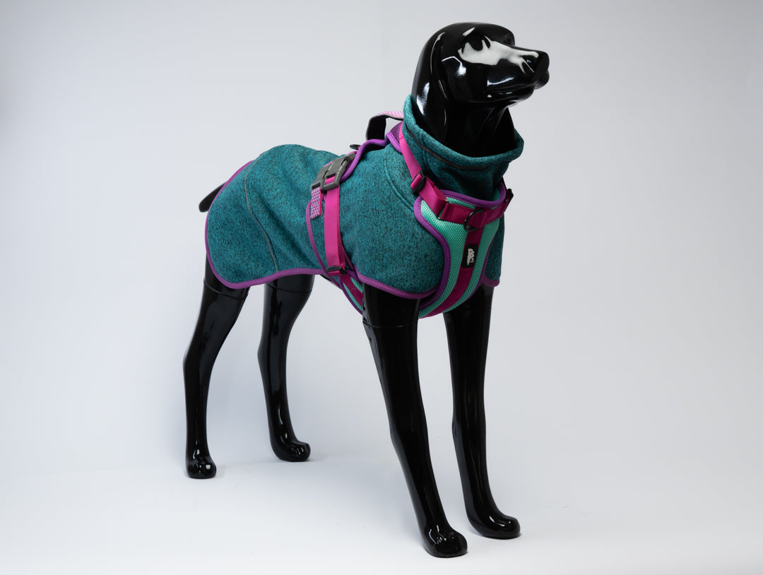 Polar Perro Dawson Picaflor-  Sheepdogz®