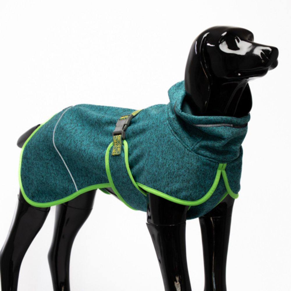 🌿Polar Perro Dawson Chagual🌿