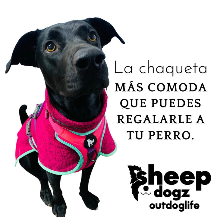 Polar para perros Dawson — Chilco
