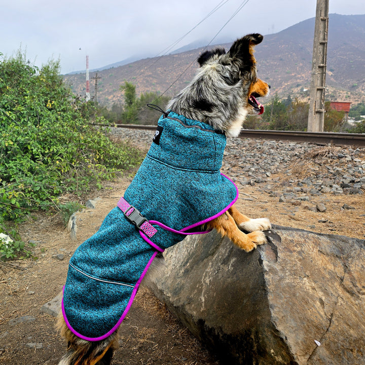 Polar Perro Dawson Picaflor-  Sheepdogz®