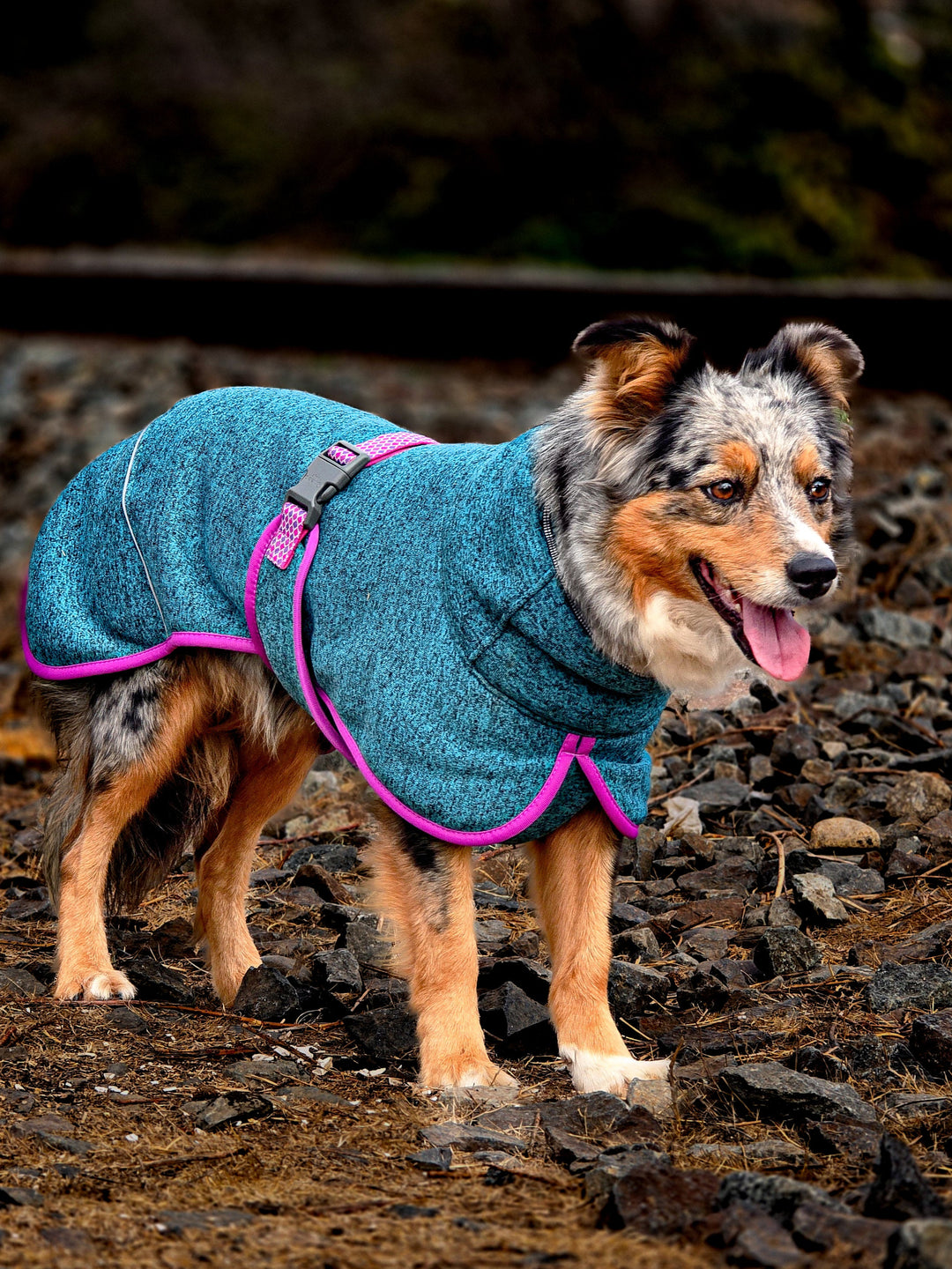 Polar Perro Dawson Picaflor-  Sheepdogz®