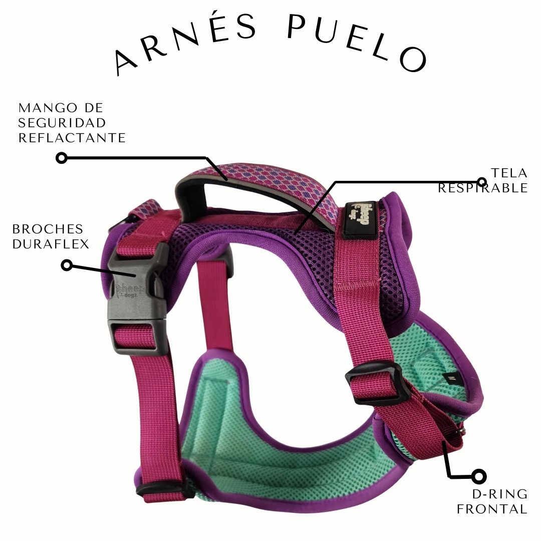 Arnés Puelo -🐦 Picaflor de Arica🐦