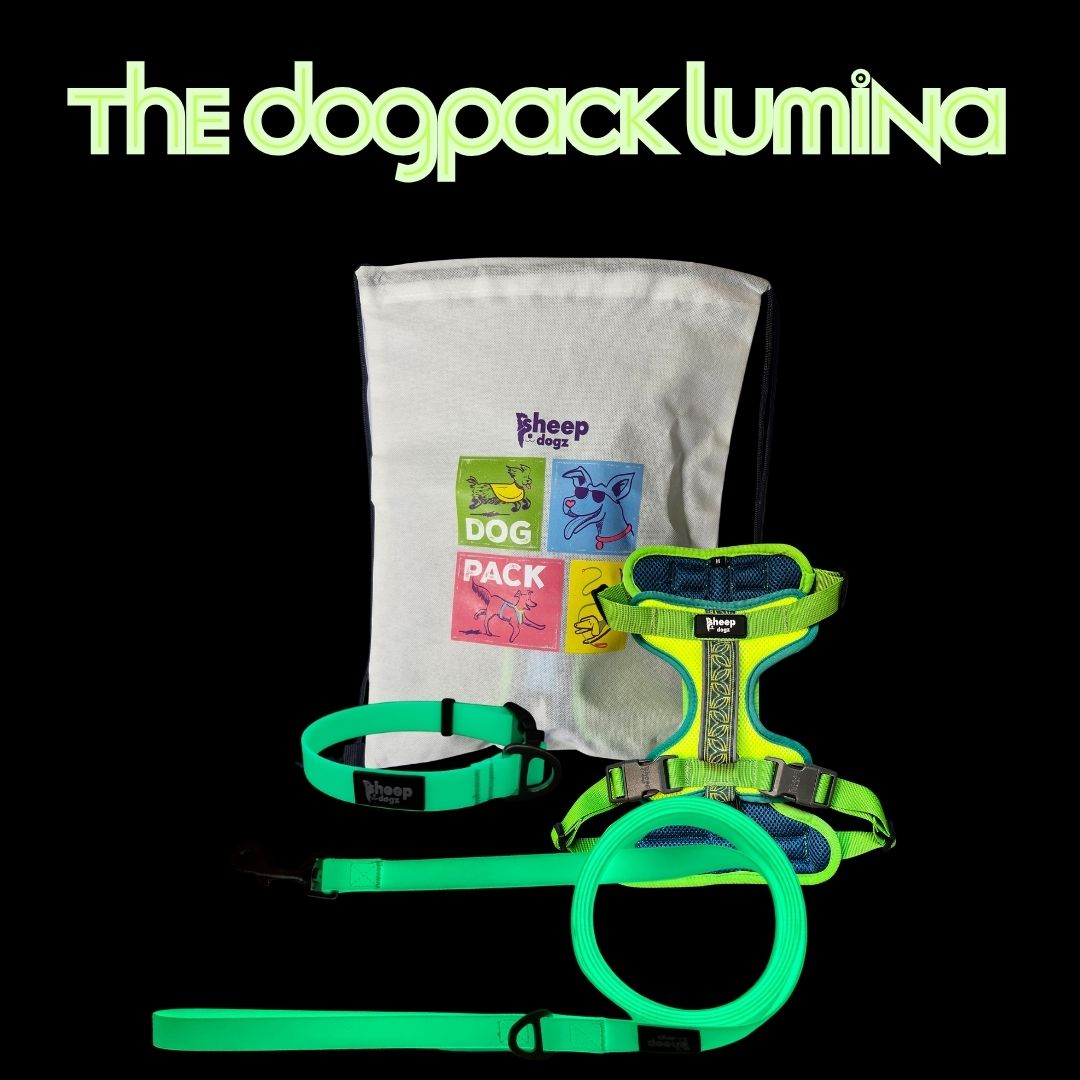 🐾 Dogpack Sheepdogz Chagual🌿 LUMINA