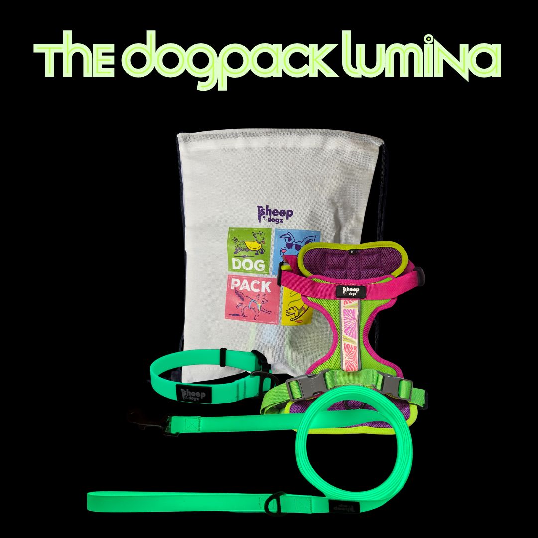 🐾 Dogpack Sheepdogz Doca B 🪻 Lumina