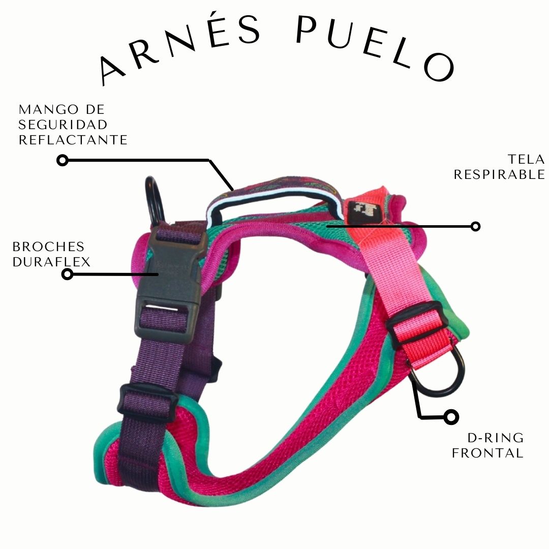🌷Arnés Puelo - Chilco🌷