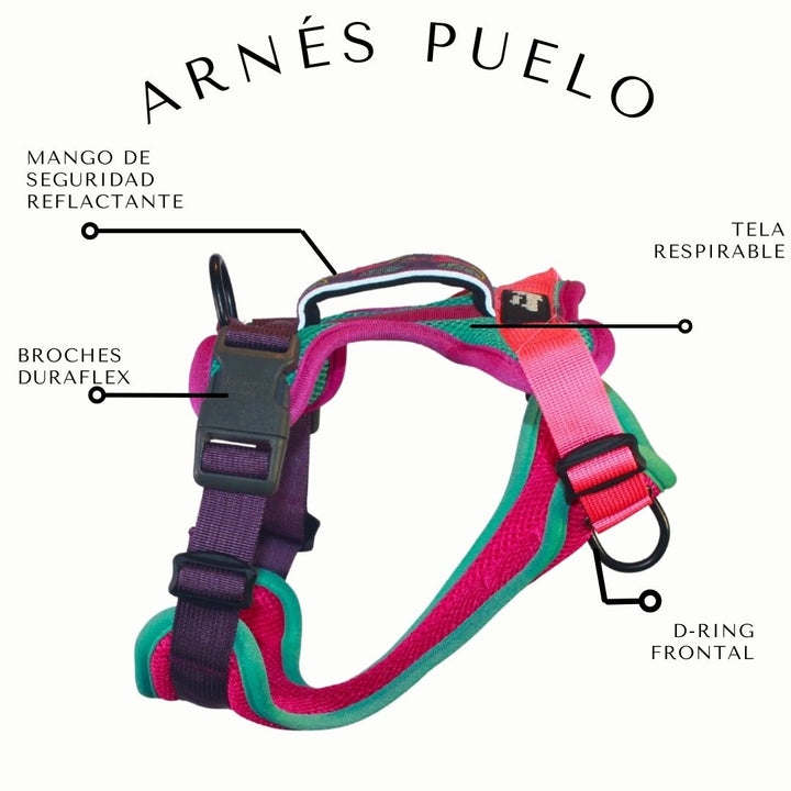 🌷Arnés Puelo - Chilco🌷
