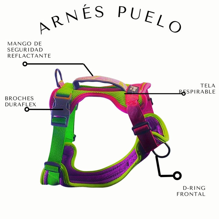 🪻Arnés Puelo - Doca🪻
