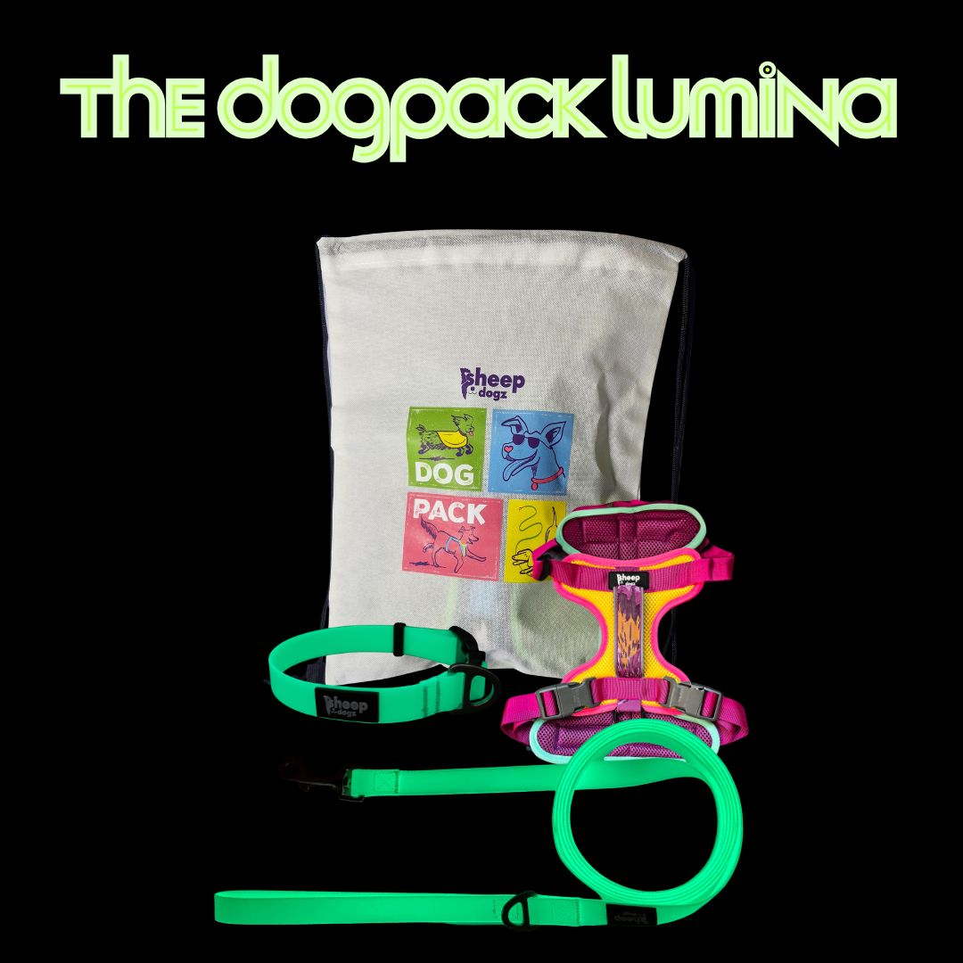 🐾 Dogpack Sheepdogz Astroemeria🪷 Lumina