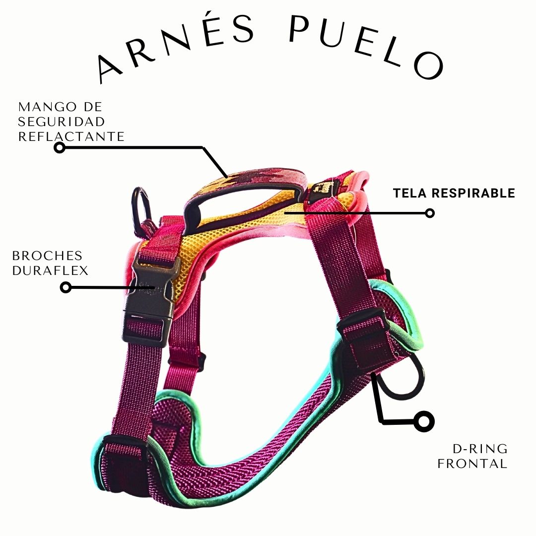 🏵️Arnés Puelo - Astroemeria 🏵️