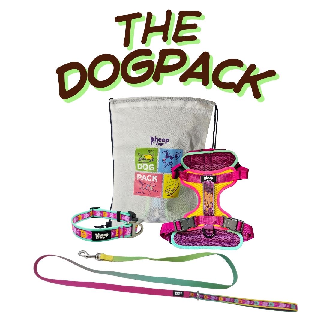 🐾 Dogpack Sheepdogz Astroemeria🪷
