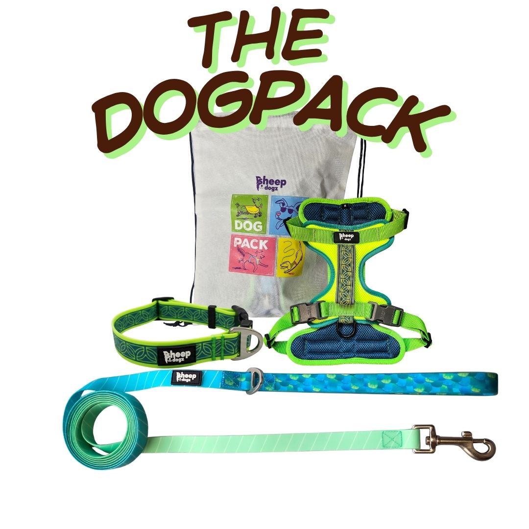 🐾 Dogpack Sheepdogz Chagual Mix Pavo Real🌿