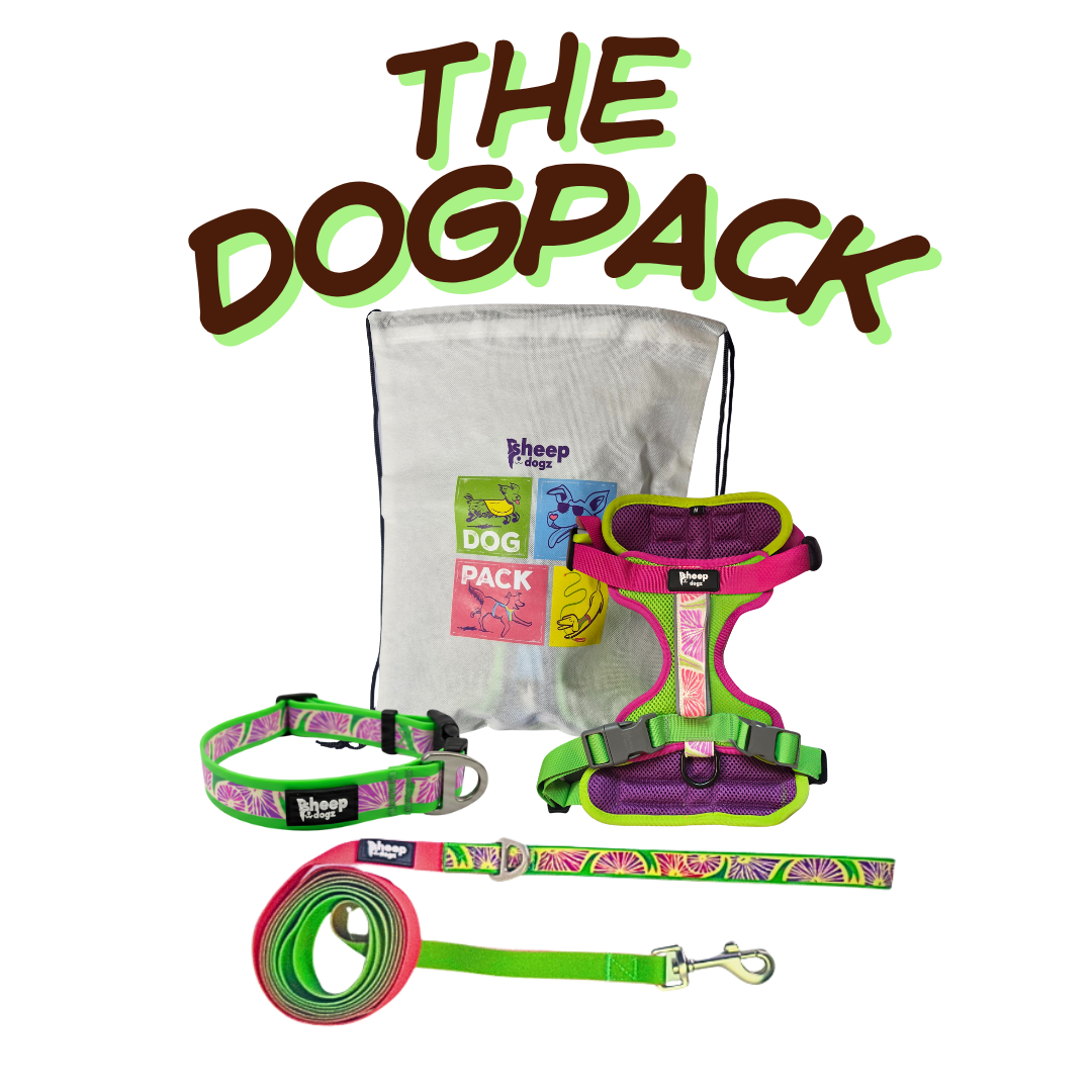🐾 Dogpack Sheepdogz Doca Clasico🪻