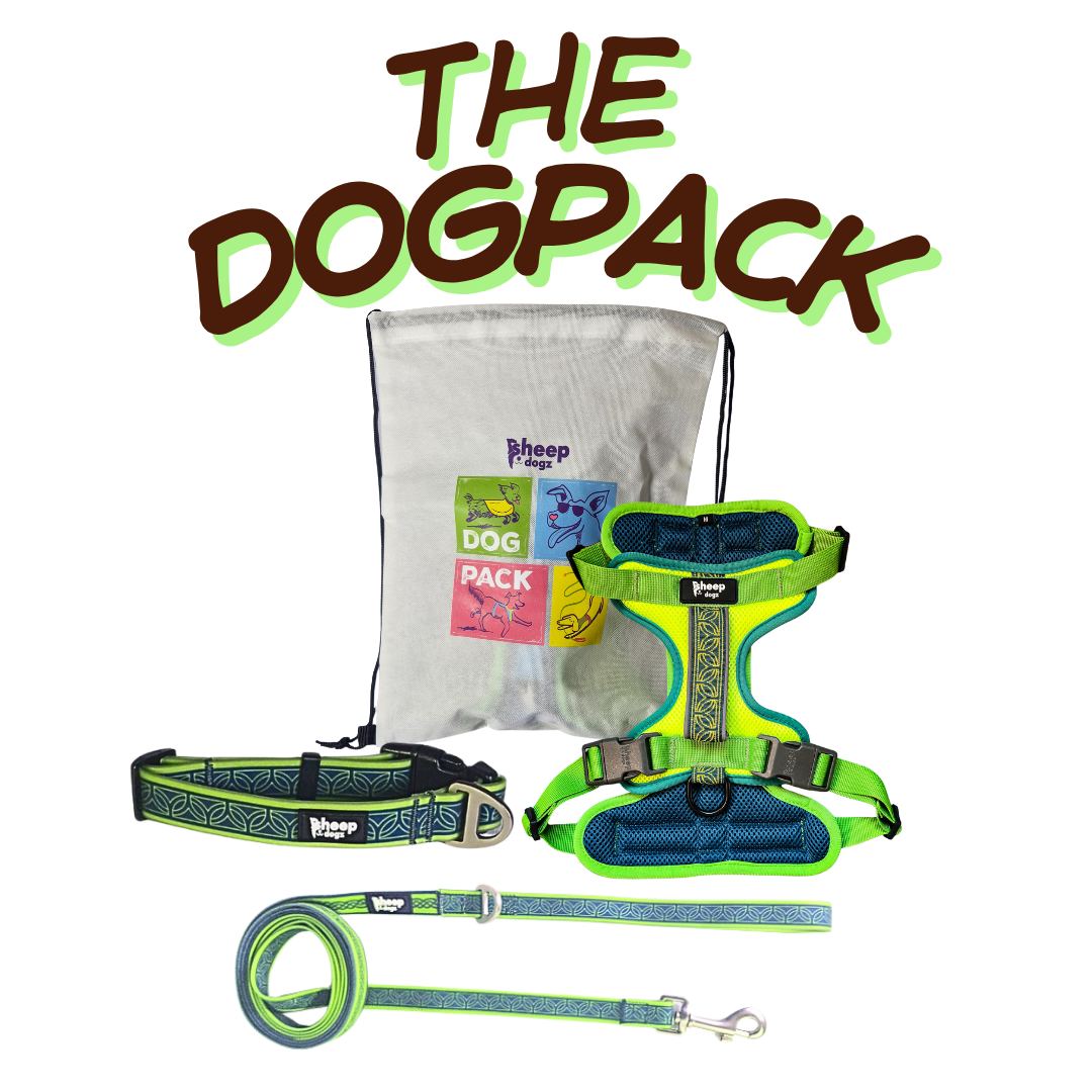 🐾 Dogpack Sheepdogz Chagual Completo🌿
