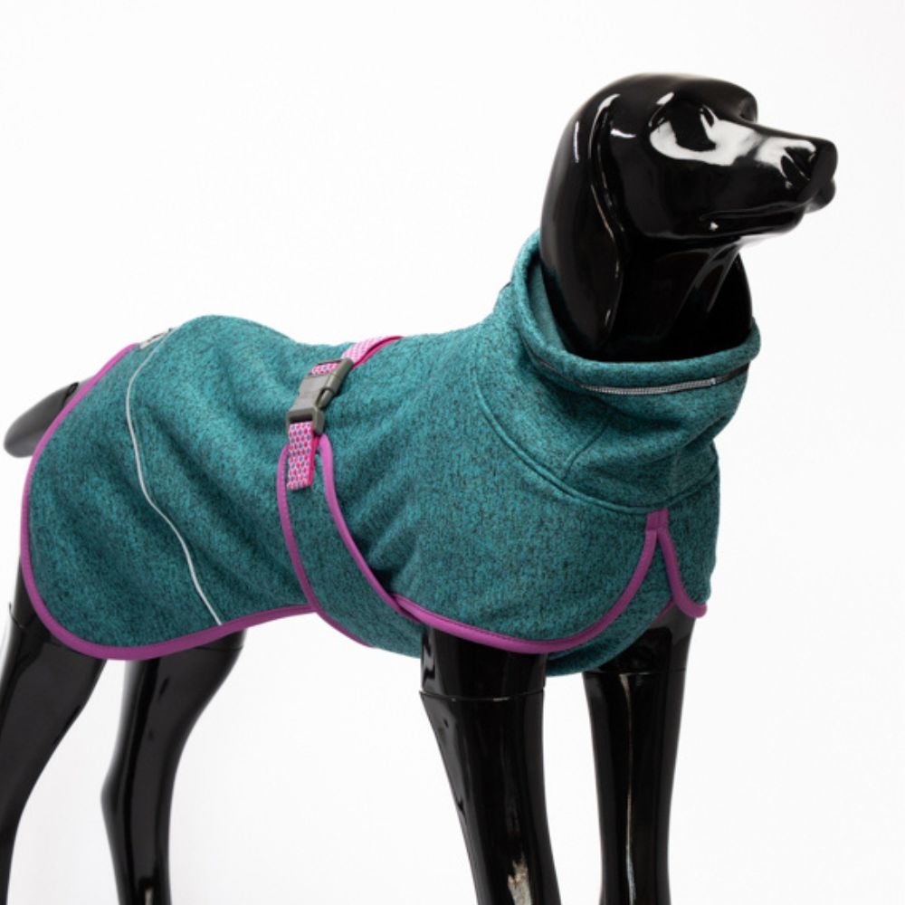 🐦Polar Perro Dawson Picaflor🐦