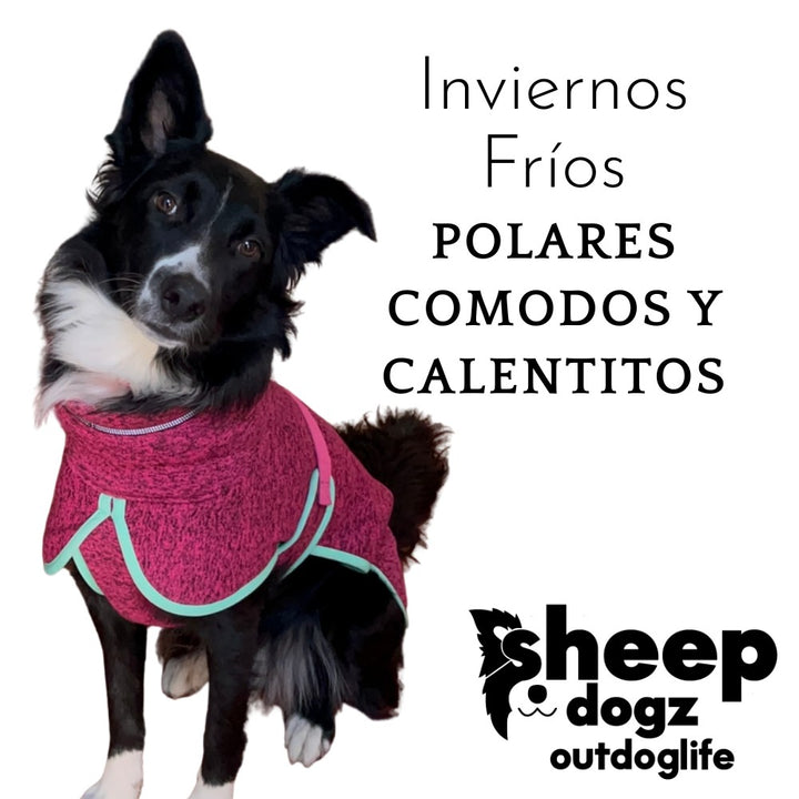 Polar para perros Dawson — Chilco