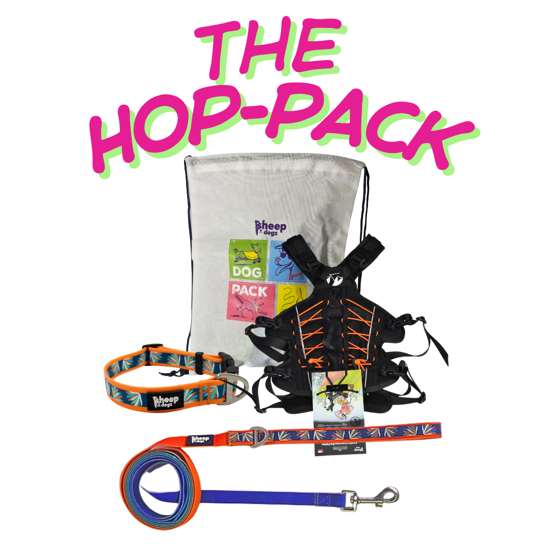 HOP-PACK Martin- Naranja