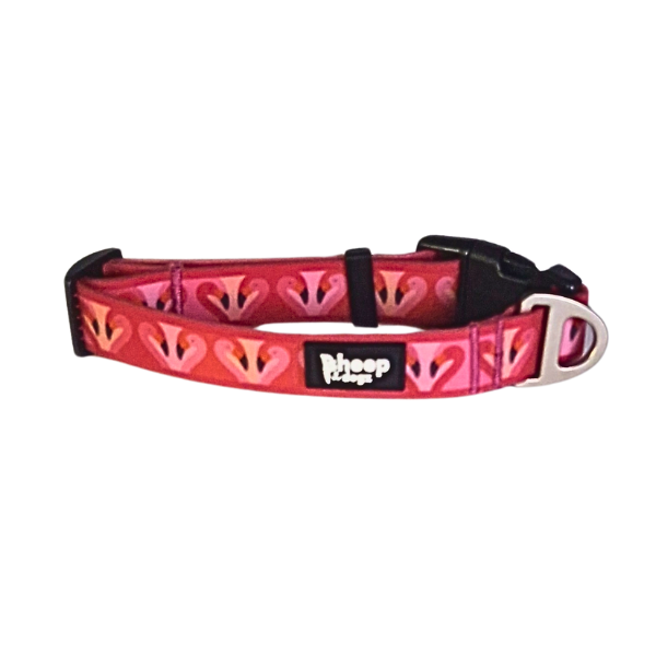 🦩Collar Impermeable Flamenco🦩