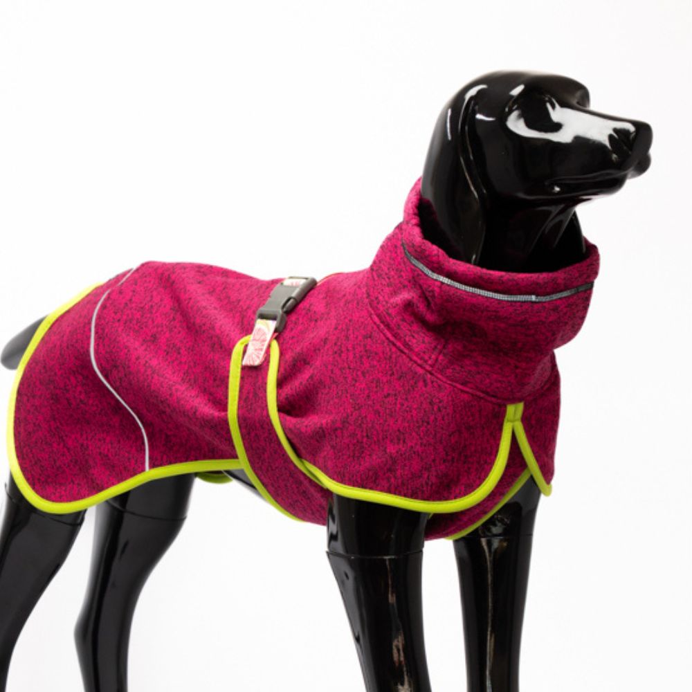 🪻Polar Perro Dawson Doca🪻