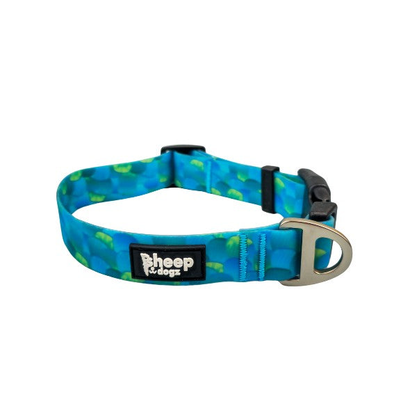 Collar Impermeable Pavo Real