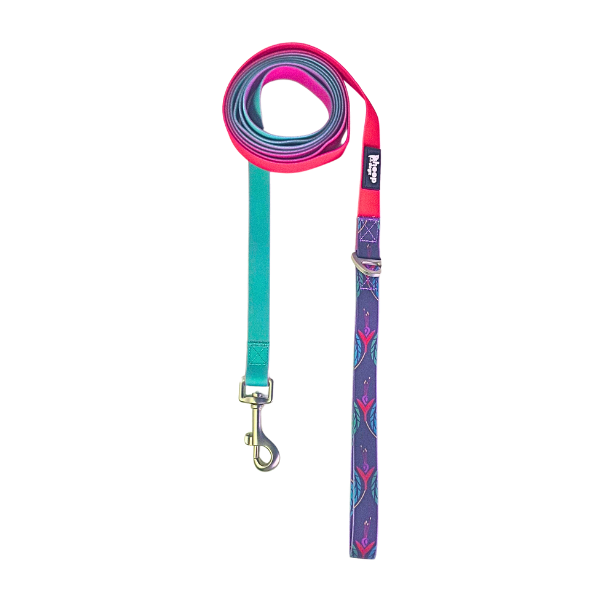 🌷Correa Impermeable Chilco Degrade🌷