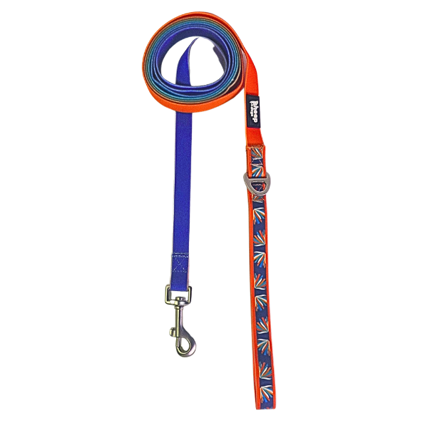 🦅Correa Impermeable Martin Pescador🦅