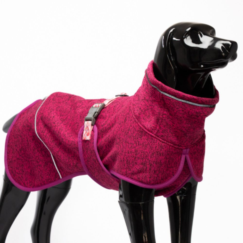 🦩Polar Perro Dawson Flamenco🦩