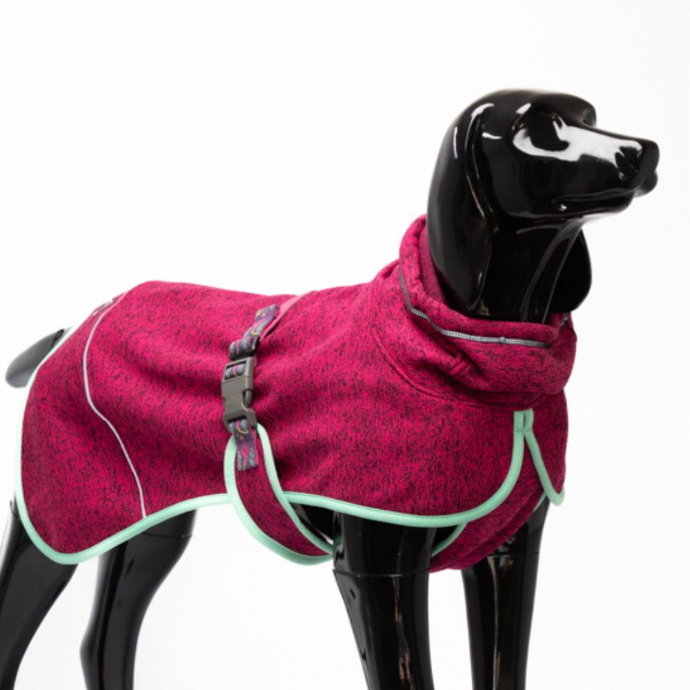 🌷Polar Perro Dawson Chilco🌷