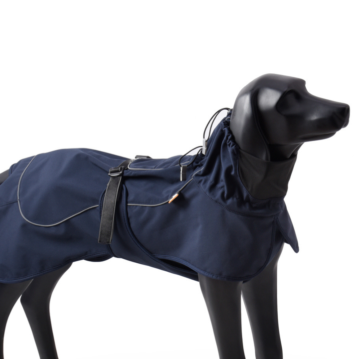 Impermeable Perro Windhook Azul- Sheepdogz® (Copia)
