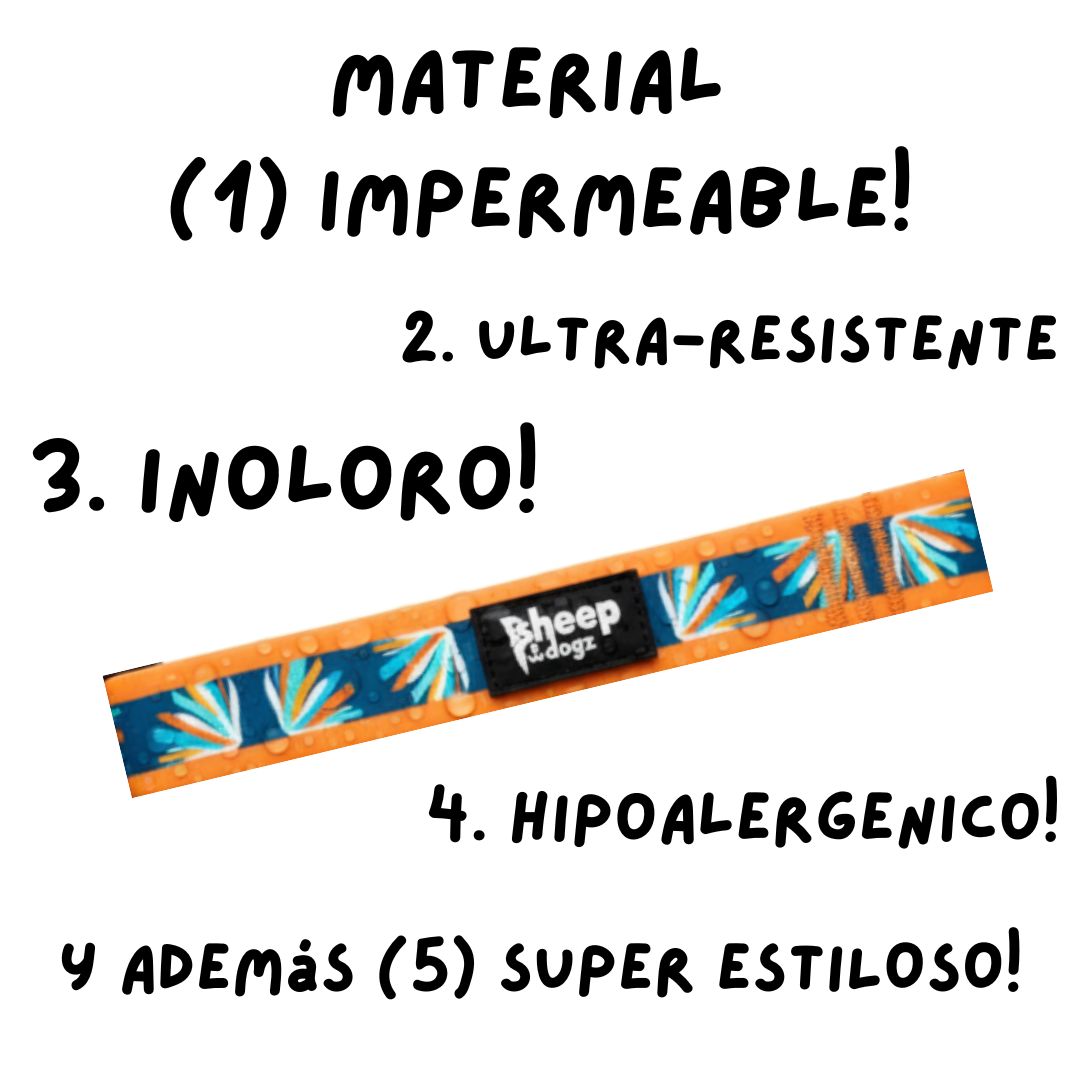 🦅Collar Impermeable Martin.🦅