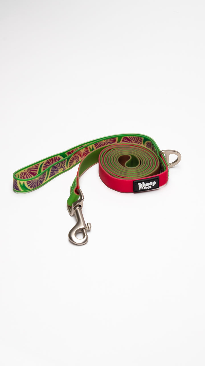 🪻Correa Impermeable Doca🪻