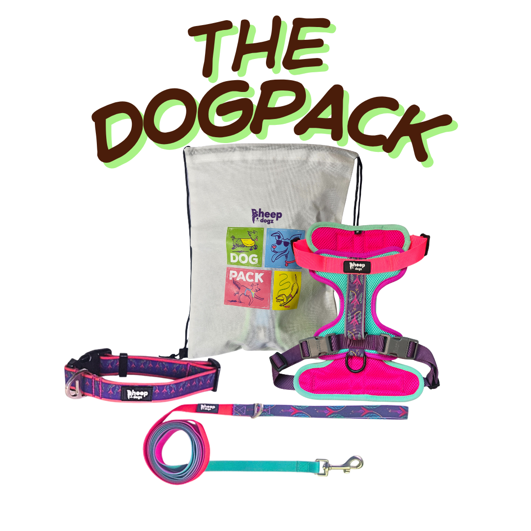 🐾 Dogpack Sheepdogz Chilco Fucsia🥀