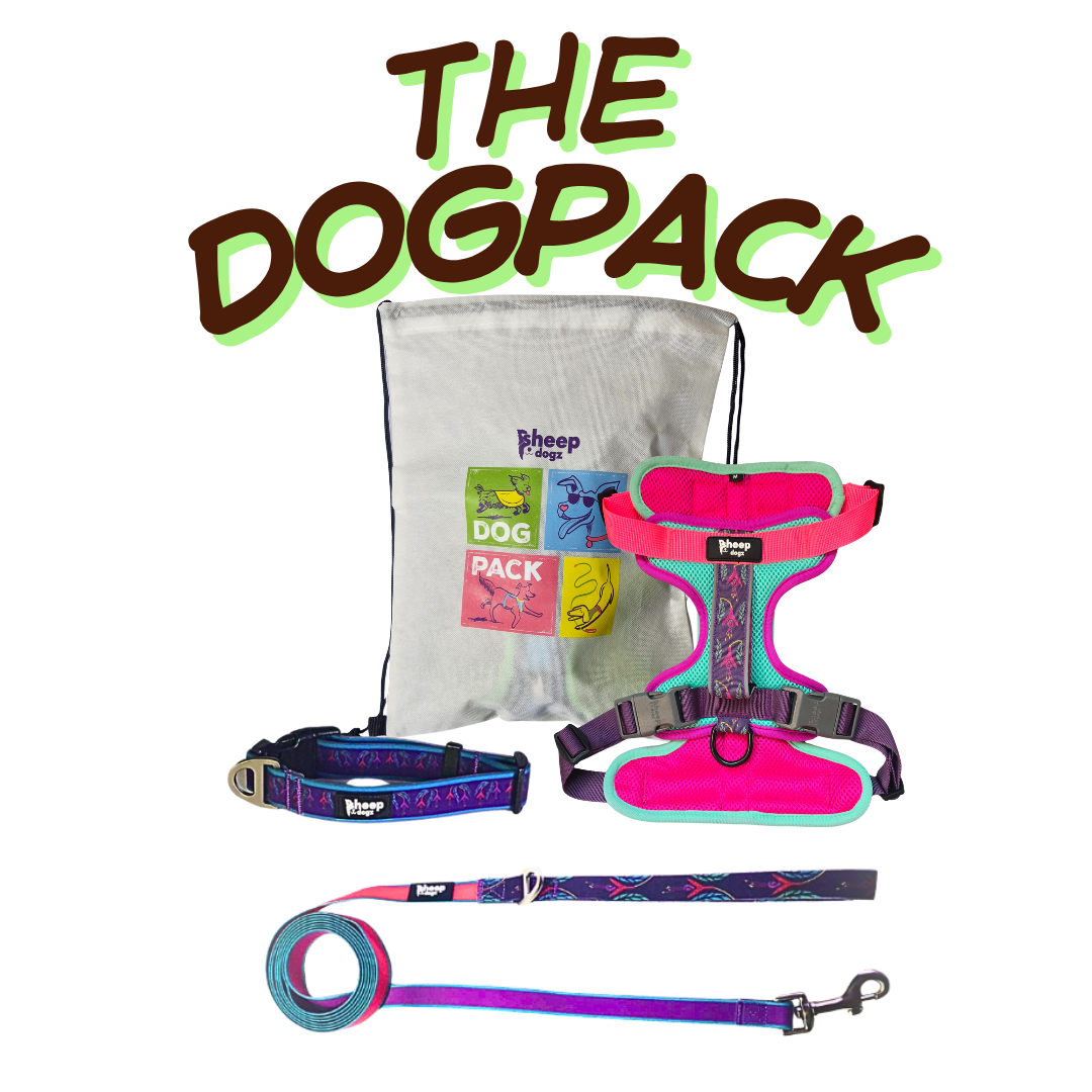 🐾 Dogpack Sheepdogz Chilco Celeste🥀