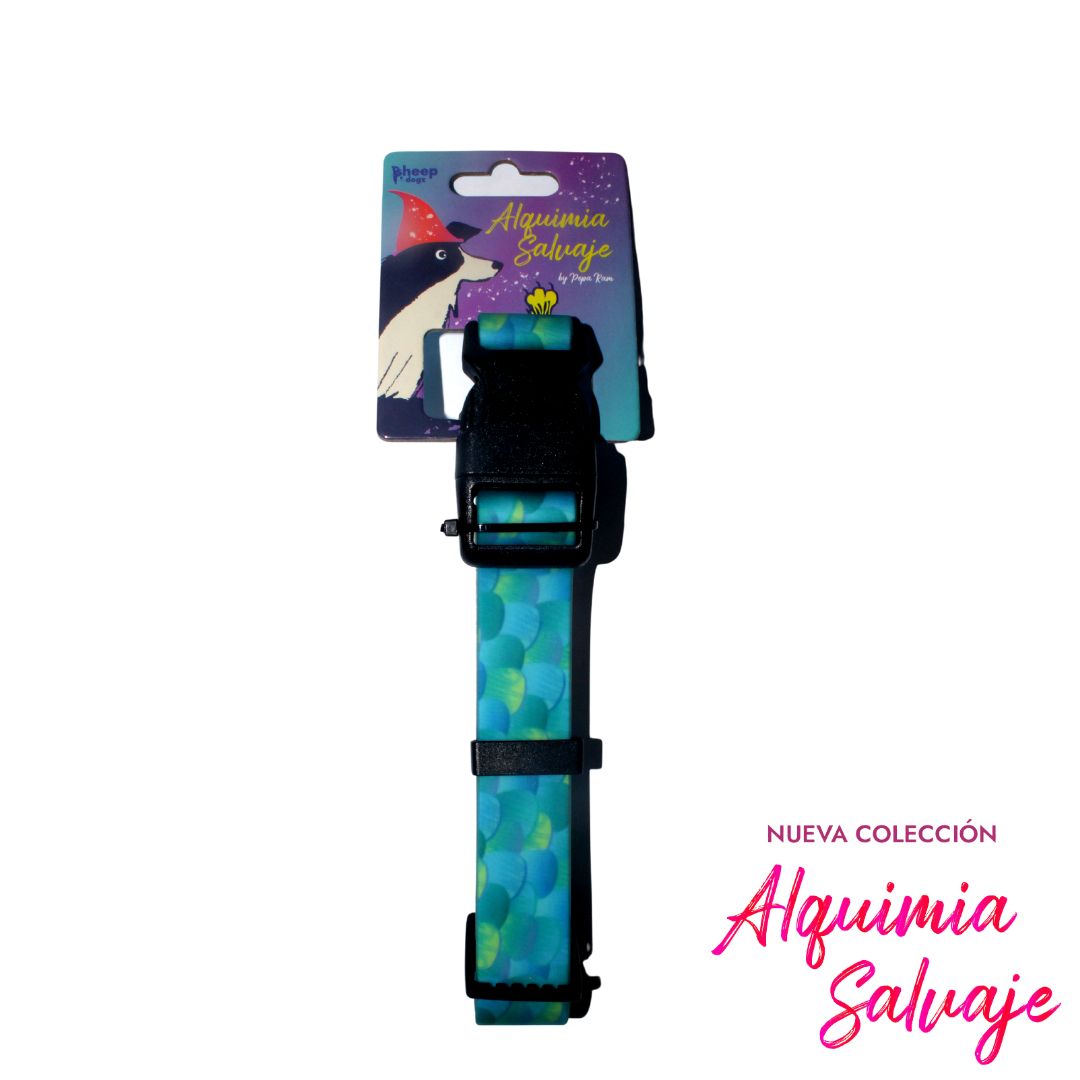 Collar Impermeable Pavo Real