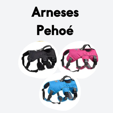Arnés Perro Pehoé - Sheepdogz®