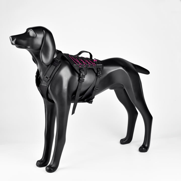 Arnés Anti Escape Perro / Cuernos del Paine Morado/ Sheepdogz®