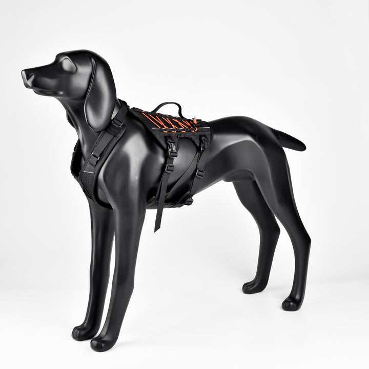 Arnés Anti Escape Perro / Hop Naranja/ Sheepdogz®