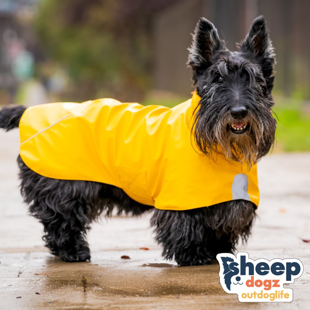 Impermeable para perros Fitz Roy — Amarillo