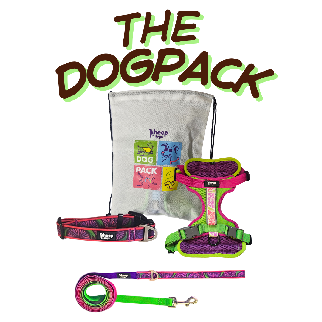 🐾 Dogpack Sheepdogz Doca Morado 🪻